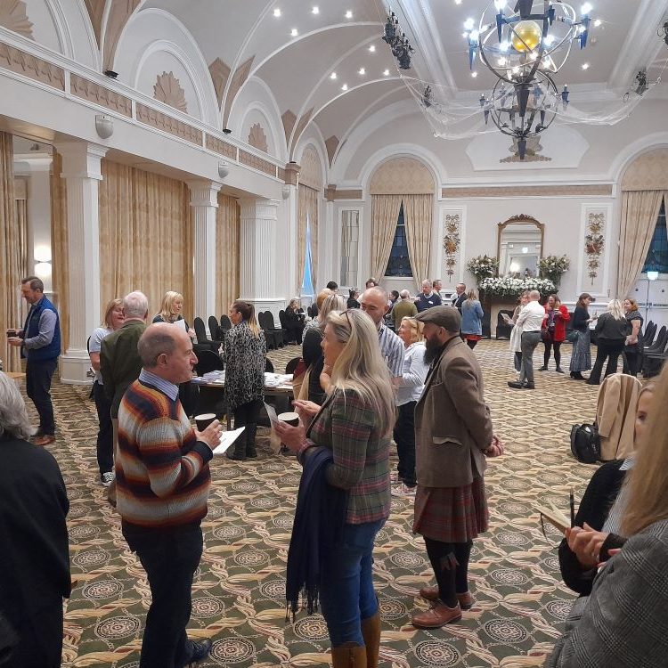 Informal speed-dating at the networking meeting at The Palace Hotel in 2024